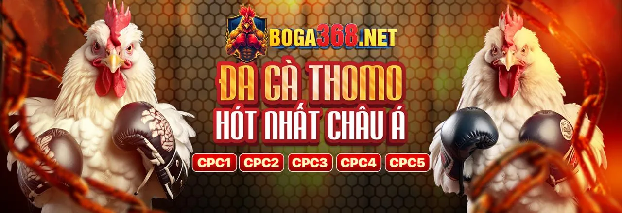 Chương trình khuyến mãi 88bet hấp dẫn