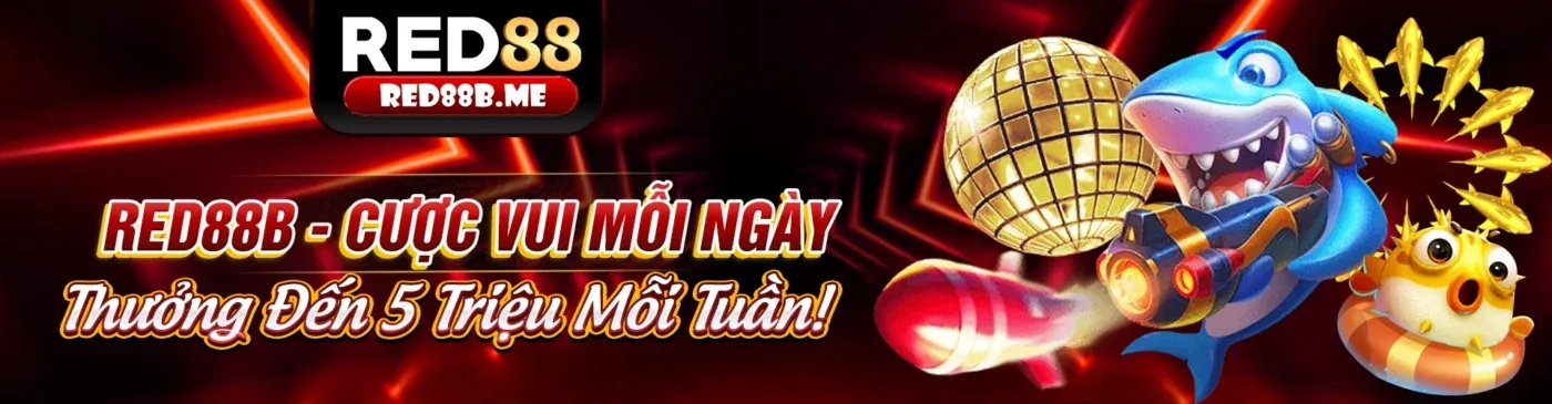 Hình ảnh chính hướng dẫn nền tảng 88BET